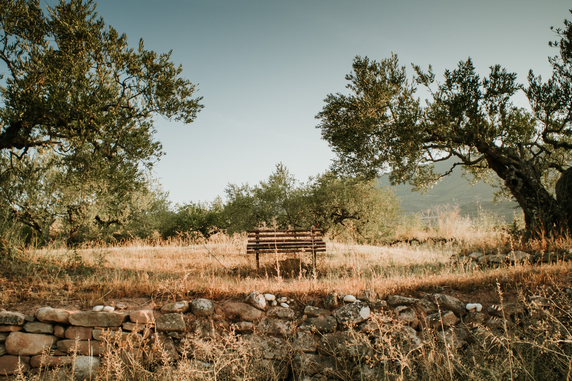 Heart Wood Trailer